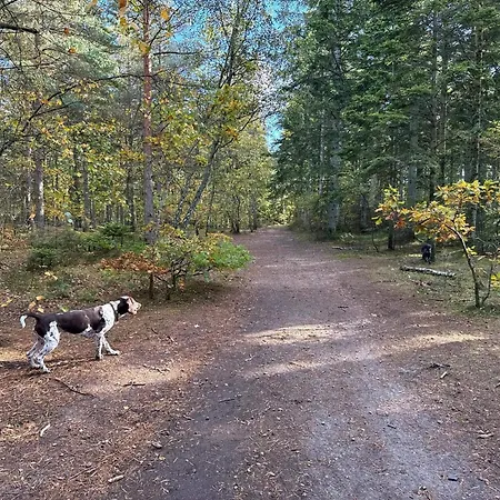 Ferienhaus 8 Person In Albaek-by Traum *