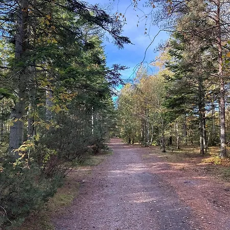 8 Person In Albaek-by Traum Ferienhaus Ålbæk