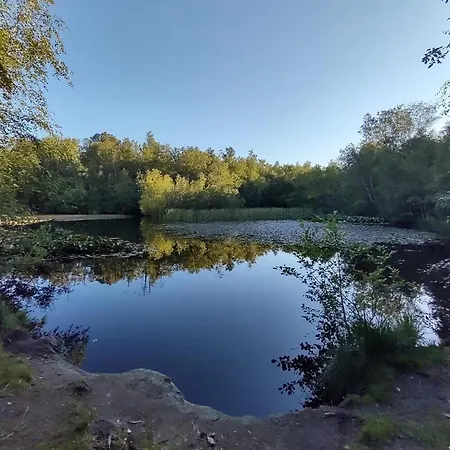 Ferienhaus 8 Person In Albaek-by Traum Ålbæk