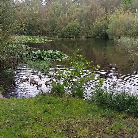 Ferienhaus 8 Person In Albaek-by Traum *