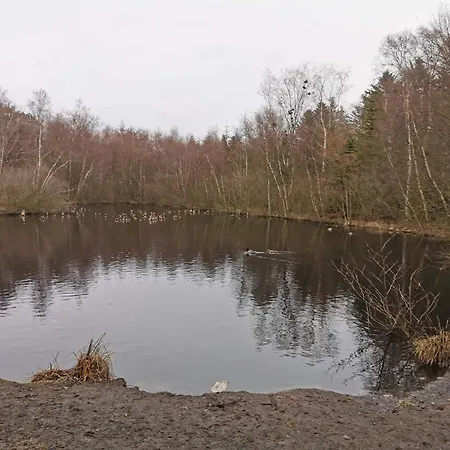 8 Person In Albaek-by Traum Ferienhaus *