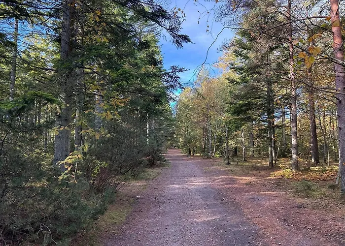8 Person In Albaek-by Traum Semesterbostad *