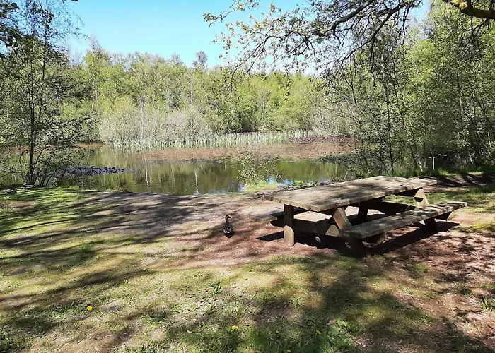 8 Person In Albaek-by Traum *